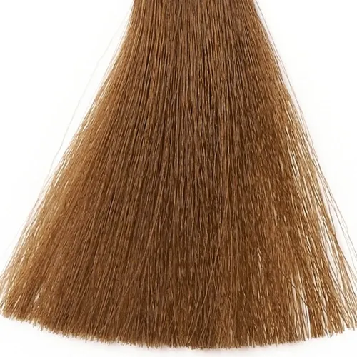 Silky Coloration Cream Permanent Hair Colour 8.31 Light Golden Ash Blonde 100ml